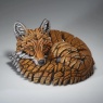 Edge Curled Up Fox