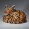 Edge Curled Up Fox
