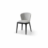 Stellar Side Chair