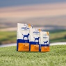 Healthy Paws British Turkey & Millet (Adult) Dog Food