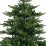 Everlands Everlands Grandis Fir Christmas Tree