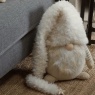 Smart Garden Supersoft Snow Gonk Plush - XL (40cm)