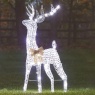 Smart Garden GlitterTwist Reindeer 80cm - Silver