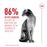 Royal Canin Royal Canin FHN Fussy Adult Dry Cat Food -10kg