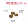 Royal Canin Royal Canin FHN Fussy Adult Dry Cat Food -10kg