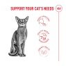 Royal Canin Royal Canin FHN Fussy Adult Dry Cat Food -10kg