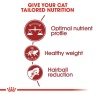 Royal Canin Royal Canin Fit 32 Adult Dry Cat Food -10kg