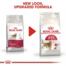 Royal Canin Royal Canin Fit 32 Adult Dry Cat Food -10kg