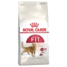 Royal Canin Royal Canin Fit 32 Adult Dry Cat Food -10kg