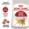 Royal Canin Royal Canin Fit 32 Adult Dry Cat Food -10kg