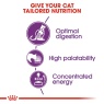 Royal Canin Royal Canin FHN Sensible 33 Adult Dry Cat Food -10kg