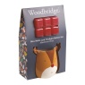 Aromatize Aromatize Reindeer Melter & Wax Melts Gift Set