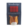 Aromatize Aromatize Reindeer Melter & Wax Melts Gift Set