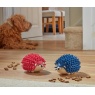Zoon Zoon Pet Treat Hoglet Dog Toy (Assorted Styles)