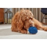 Zoon Zoon Pet Treat Hoglet Dog Toy (Assorted Styles)