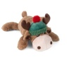 Zoon Zoon Pet Rudy Playpal Dog Toy