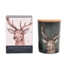 Meg Hawkins Meg Hawkins Candle Stag - Elderflower & Pear Blossom - 250g