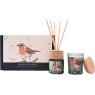 Meg Hawkins Meg Hawkins Mini Candle & Diffuser Gift Set Robin - Orange & Cinnamon