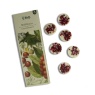 Freckleface Freckleface RHS Heritage Wax Melts Wild Berries - Pack of 6