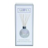 Aromatize Diffuser Bottle & 50 Rattan Reeds - Clear