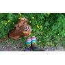 Rouchette Rainbow Tall Wellies - Multi