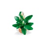 LEGO Botanicals 11504 Peace Lily