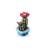 LEGO Botanicals 11509 Flowering Cactus Plants