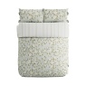 Sanderson National Trust Damson Blossom Duvet Set - Porcelain