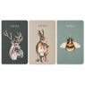 Meg Hawkins Meg Hawkins 3 Pack of A6 Note Books Assorted Stag Hare & Bee