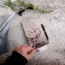 Meg Hawkins Shopping List Stag