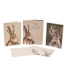 Meg Hawkins Note Cards Hare