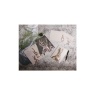 Meg Hawkins Note Cards Hare
