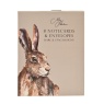 Meg Hawkins Note Cards Hare