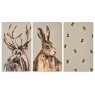 Meg Hawkins Meg Hawkins 3 Pack of A5 Note Books Assorted Stag Hare & Bee