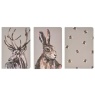 Meg Hawkins 3 Pack of A5 Note Books Assorted Stag Hare & Bee