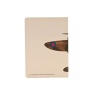 RAF A5 Lined Hardback Notebook Spitfire
