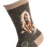 Wrendale Horse Sock Gloria