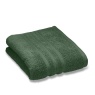 Catherine Lansfield Catherine Lansfield Zero Twist Towels - Dark Green