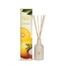 Ashleigh & Burwood Scented Home Amalfi Lemon & Sea Salt Diffuser - 150ml