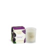 Ashleigh & Burwood Scented Home Elderberry & Purple Basil Candle - 170g
