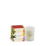 Ashleigh & Burwood Scented Home Moroccan Spice Candle - 170g