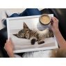 Creative Tops Sleeping Kitten LapTray