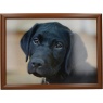 Creative Tops Black Labrador Laptray