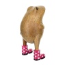 DCUK Jolly Frog Ornament (Assorted Styles)
