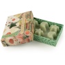 Candlelight Moon & Star Wax Melts Chengdu Sakura Blossom