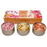 Best Kept Secrets Aromatic Collection Natural Harmony Three Lites Candle Set