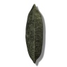 Style Furnishings Belmont Piped Cushion 55cm - Green