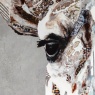 Art Marketing In The Wild Framed Giraffe Canvas