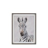 Art Marketing In The Wild Framed Zebra Canvas
