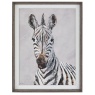 Art Marketing In The Wild Framed Zebra Canvas